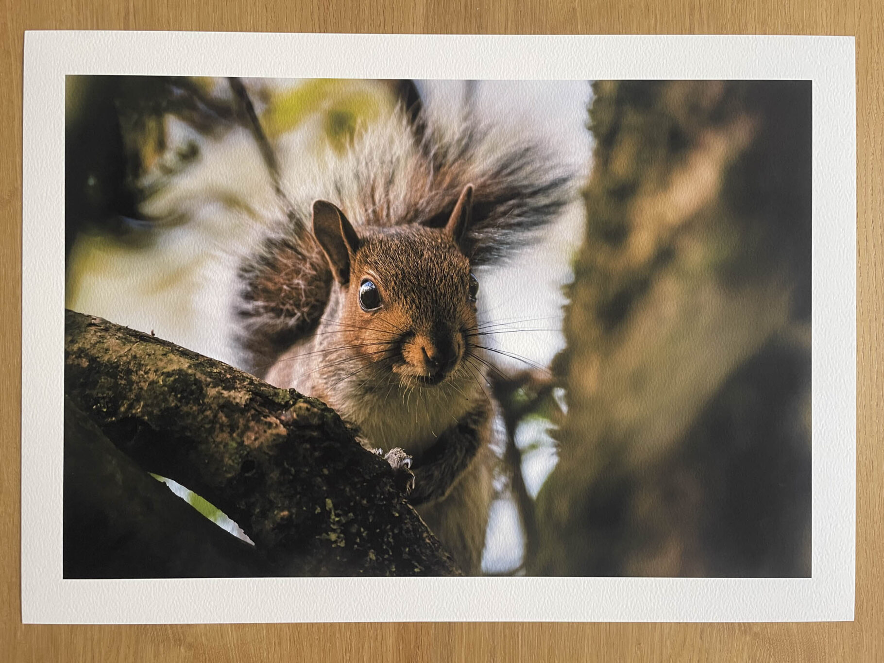 Curious Encounter - Fine Art Photography Print