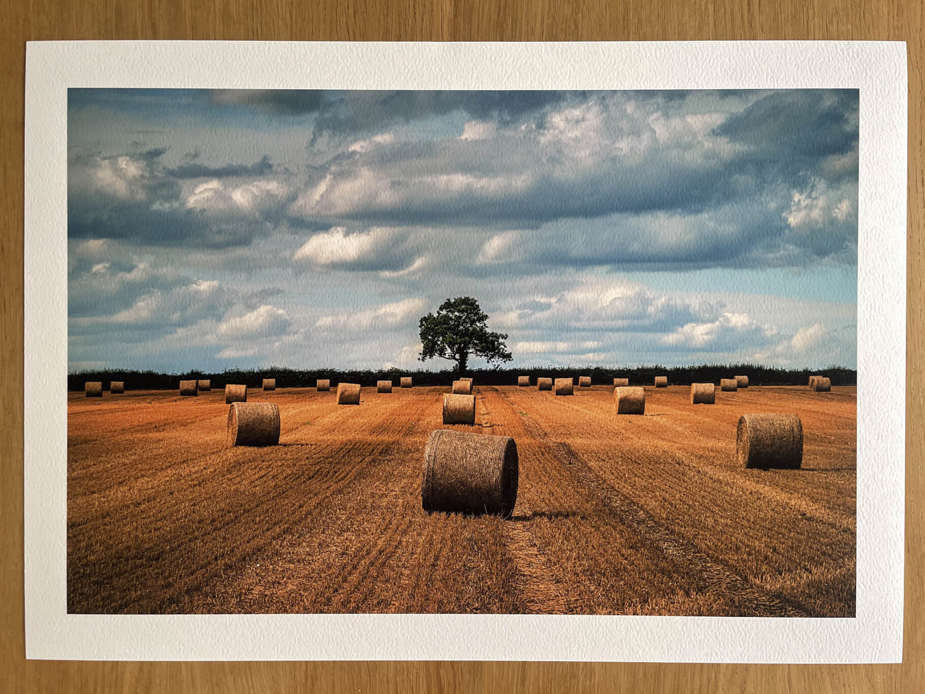 Summer's End - Fine Art Photography Print