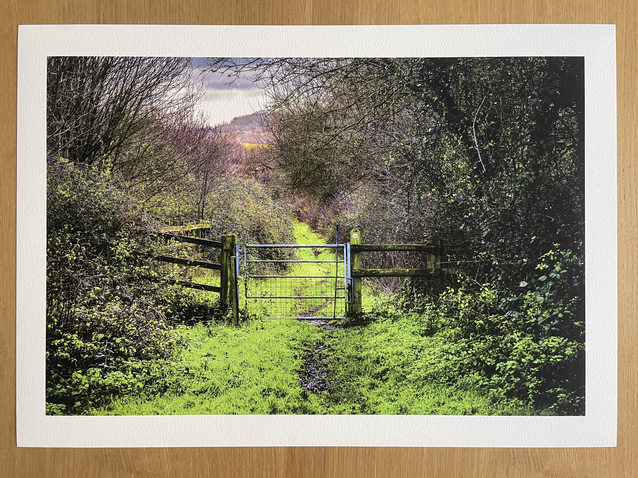 The Bridleway - Fine Art Photography Print
