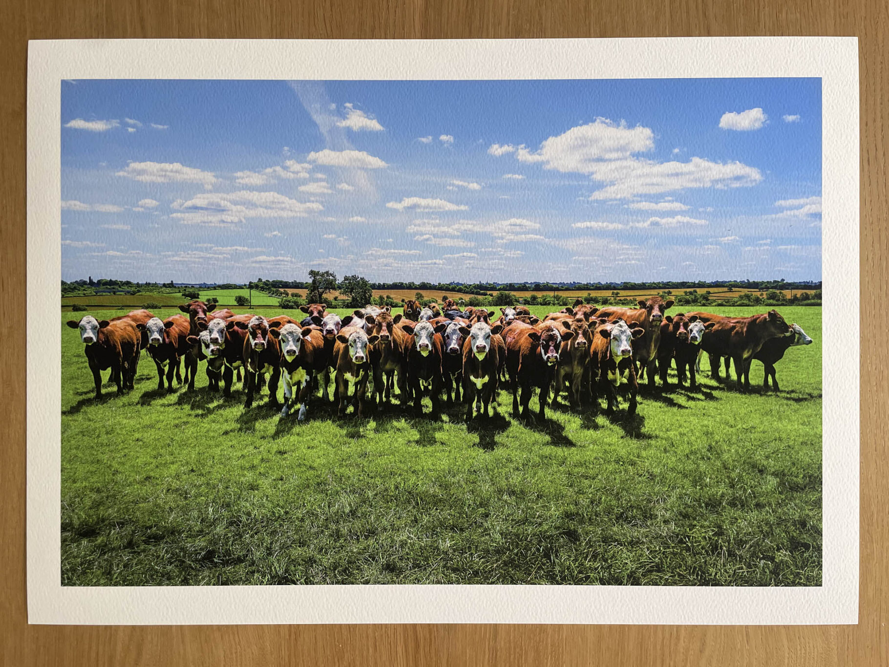 The Gathering - Fine Art Photography Print