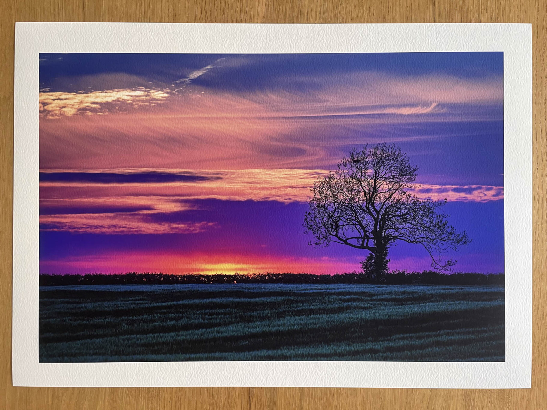 The Sentinel - Fine Art Photography Print