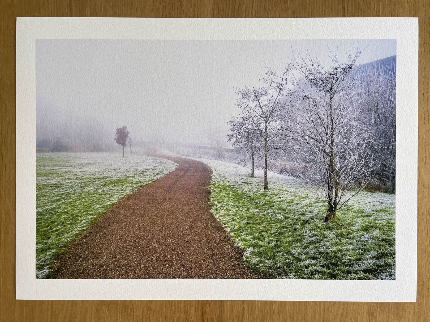 Whispers of Winter - Fine Art Photography Print